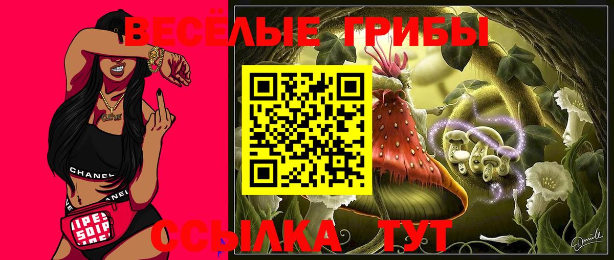 купить наркоту  Вход с VPN  Подольск  Псилоцибиновые грибы ЛСД 